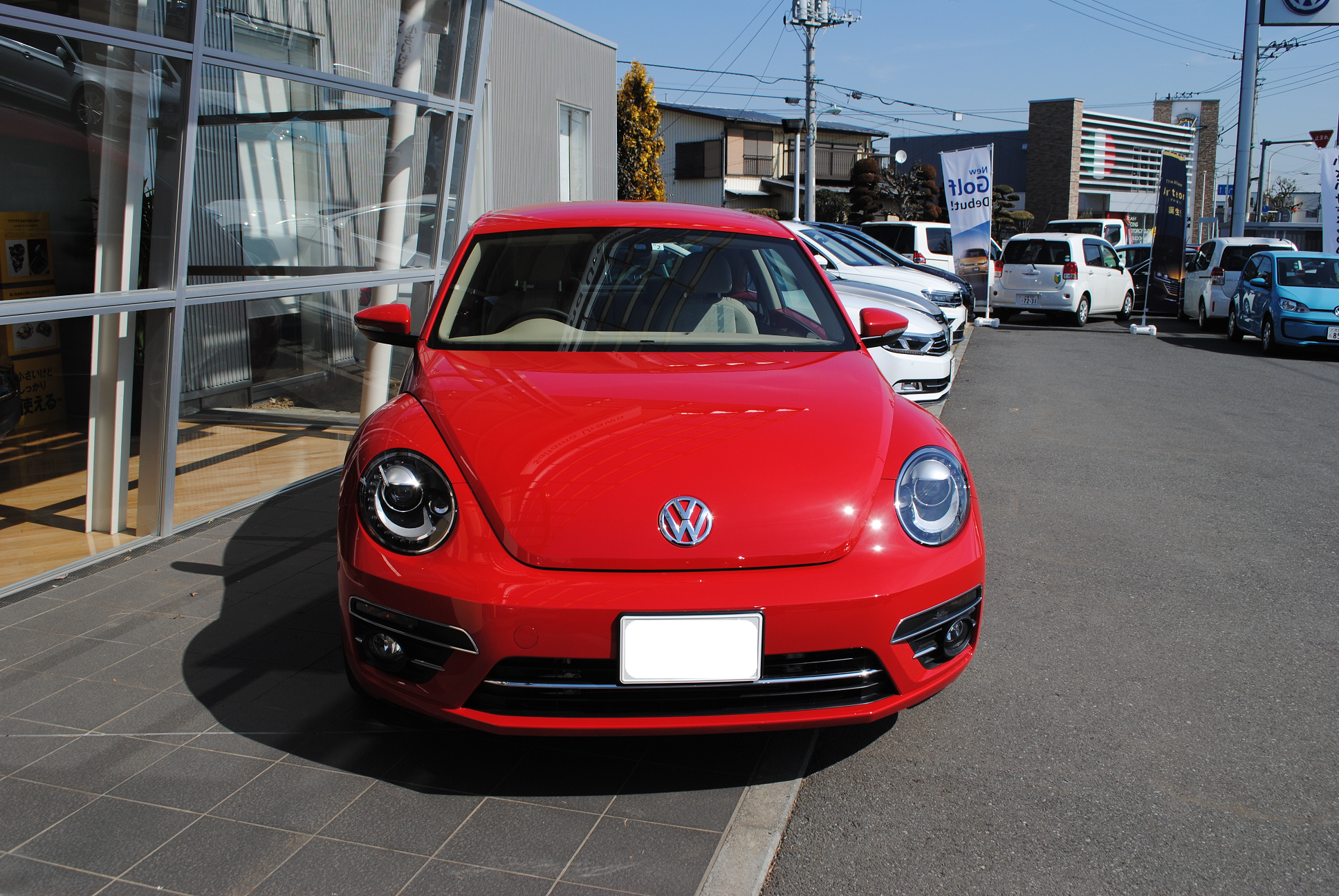 The Beetle Design