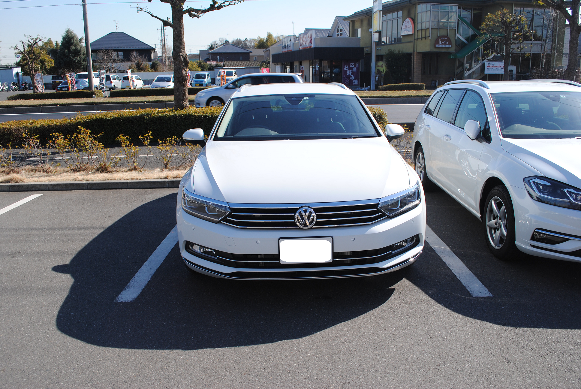 Passat Variant TDI Eleganceline