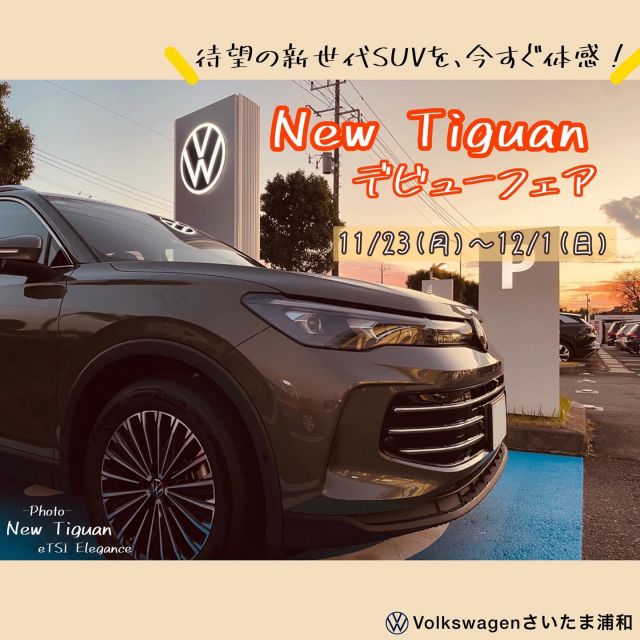 ピンクのマイスターベア入荷しました☆ | フォルクスワーゲン
